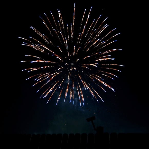 Meet your Posher, Alicia - Picture 1 of 1